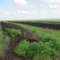 Organic Fertilizers and Soil Amendments for Sod Farms Near You