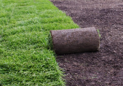 What is the Best Type of Soil for a Sod Farm Near Me?
