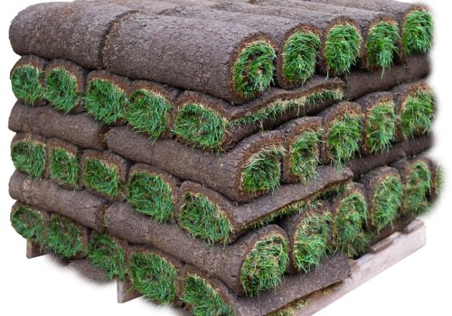 Where to Find Sod Farms with Delivery Services Near Me