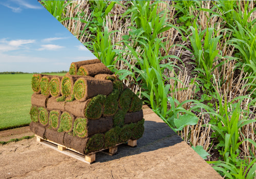 Do Sod Farms Use Chemicals Safely?
