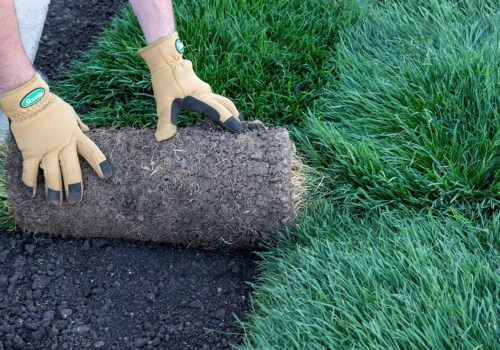 How to Lay Down New Turf from a Nearby Sod Farm