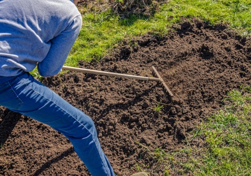 How to Prepare the Soil for a Sod Farm Near You