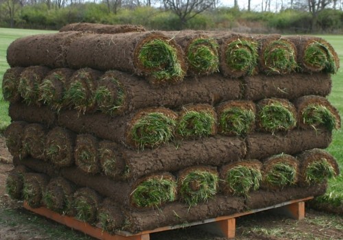 Where to Find Bulk Discounts on Sod Near Me