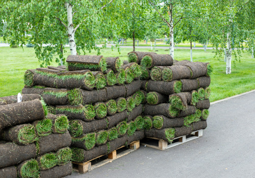 How Much Does Sod Cost at a Sod Farm Near Me?