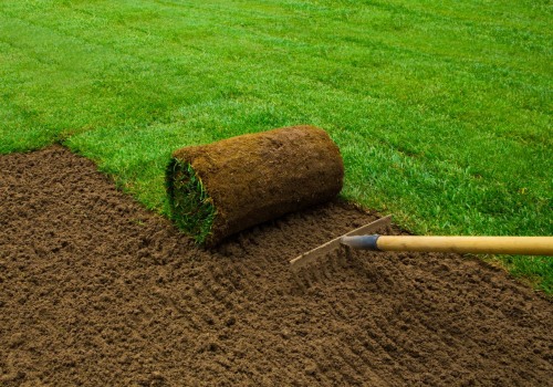 What Tools and Equipment are Needed for Installing New Sod from a Turf Farm Near Me?