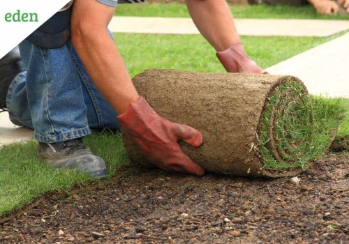How to Install Sod for a Perfect Lawn