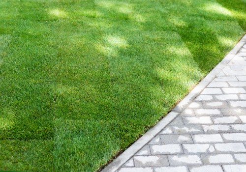 How Long Does it Take for New Sod to Become Established from a Sod Farm Near Me?