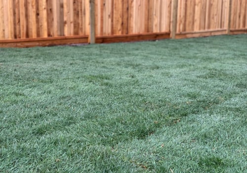 What is the Best Type of Grass for My Climate from a Sod Farm Near Me?
