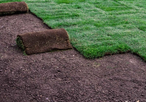 How Much Does it Cost to Lay Sod Near Me?