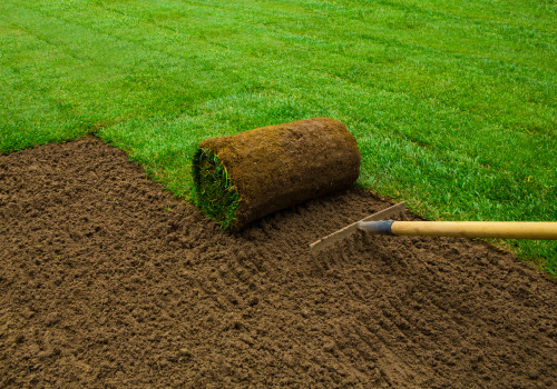 What Types of Maintenance Services are Available for Turf Installed from a Nearby Sod Farm?
