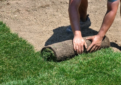 How Long Does it Take to Get Sod Delivered from a Nearby Sod Farm?