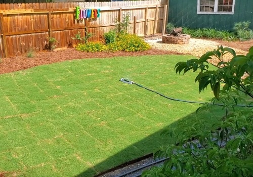 How to Water Your New Sod from a Sod Farm Near You